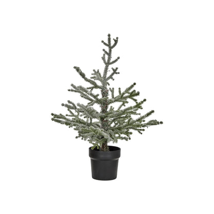 Weihnachtsbaum mit Gelenken, Hdnat, Natur