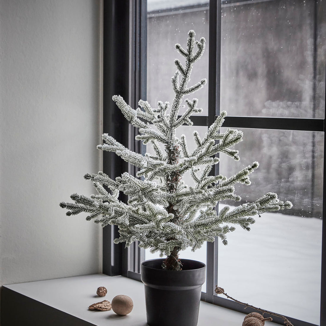 Weihnachtsbaum mit Gelenken, Hdnat, Natur