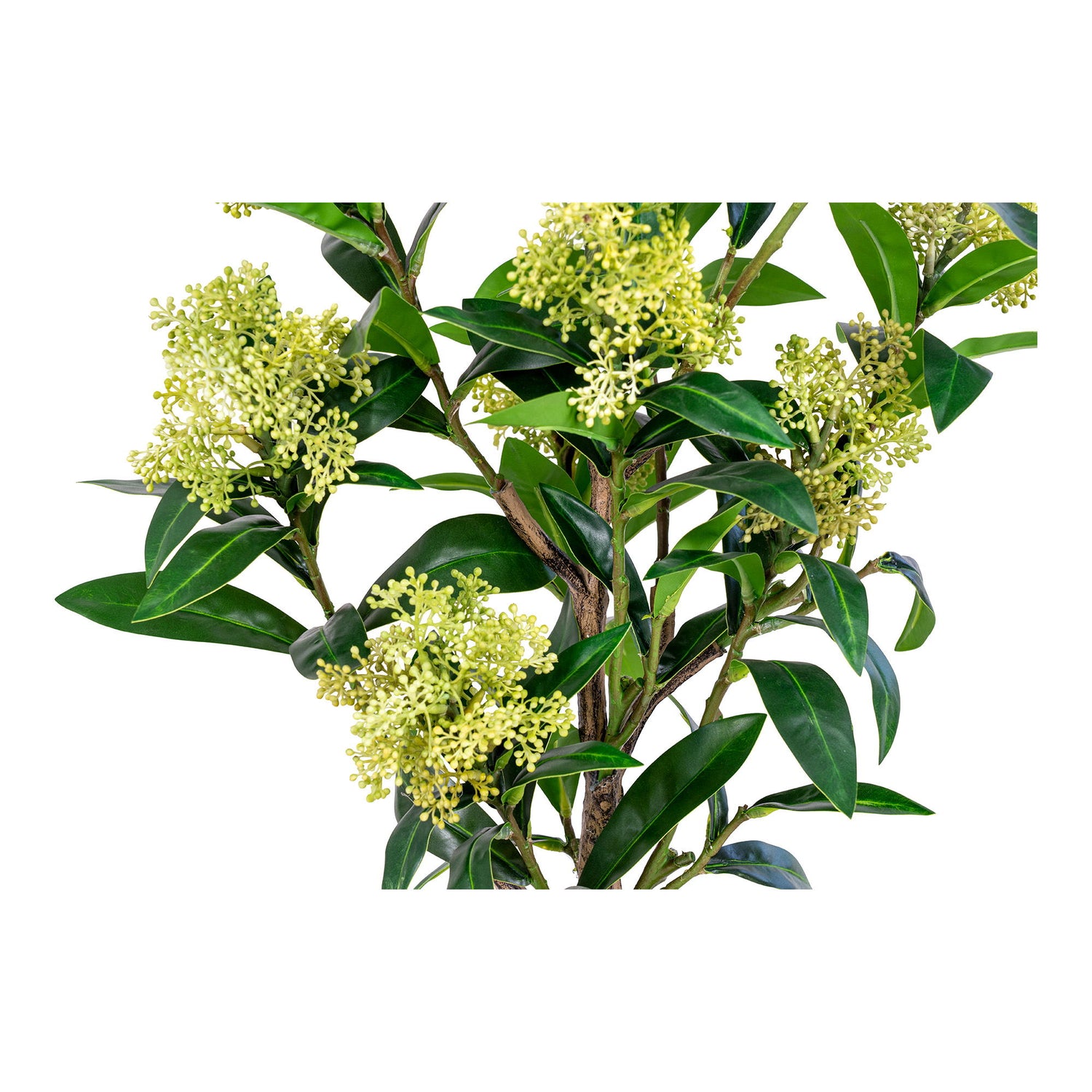 Skimmia Træ  - Kunstig plante