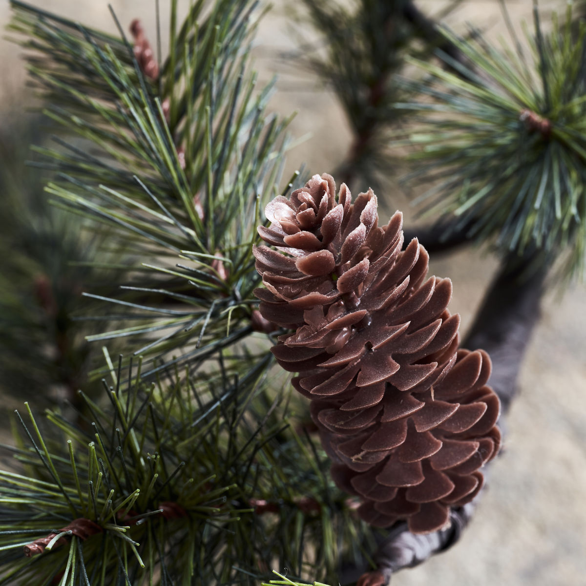 Weihnachtszweig mit LED, HDPEUCE, Natur